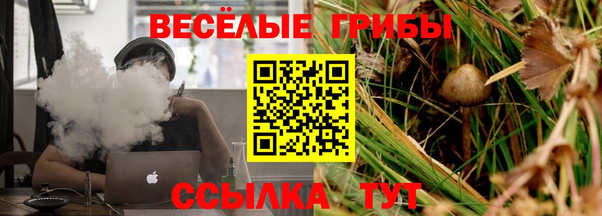 Псилоцибиновые грибы Psilocybine cubensis Ростов Великий