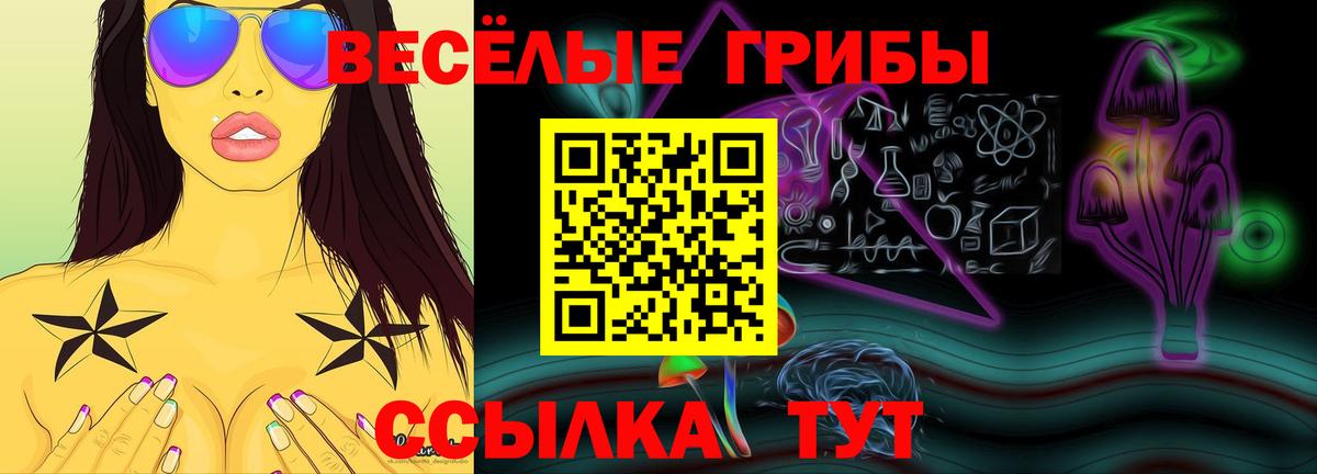 Ростов Великий  Галлюциногенные грибы Cubensis  Вход с VPN 